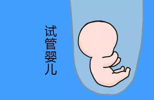 私人志愿者供卵助孕包生儿子